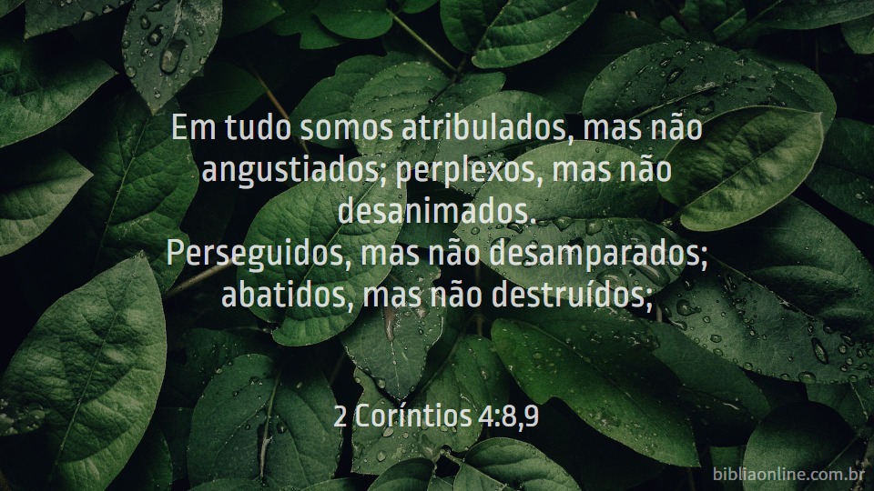 2 Corintios 4:8,9